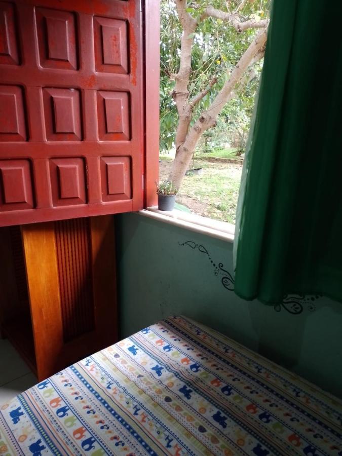 Caju Hostel Alter do Chão Kültér fotó